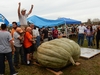 2118 Jutras World Record Squash