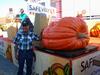 Beautiful orange pumpkin