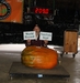 WR Field Pumpkin - 209 Werner