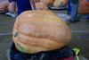 2002 Topsfield Fair - #34 - 653.0 lbs by Armand Michaud