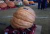 2002 Topsfield Fair - #67 - 400.4 lbs by Lori Tumpowsky & David Gringeri