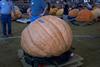 2002 Topsfield Fair - #24 - 737.8 lbs by Bob & Christine Duffy