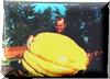 dave pley showing us his 609lb pumpkin