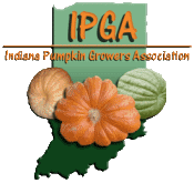 IPGA Seed Auction