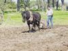 second ploughing