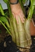 tidalmarsh X giant amaranth stalk at 24 inches in circumference